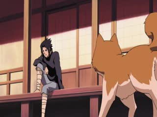 Naruto Shippuden Tập Tập 443