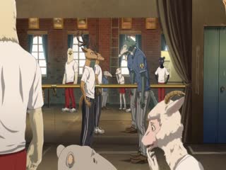 BEASTARS: Thế giới người thú (Phần 1) Tập Tập 08