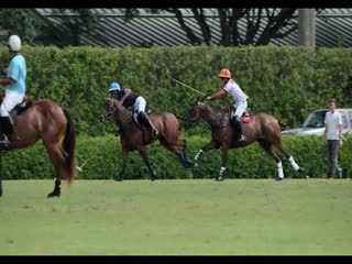 Polo Tập Tập 03