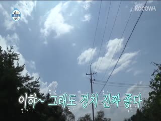 Phim Tôi Sống Một Mình Tập 310