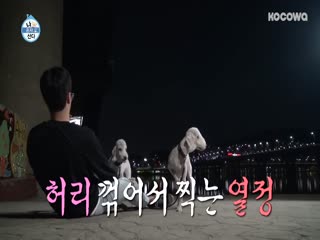 Phim Tôi Sống Một Mình Tập 295