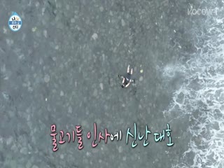 Phim Tôi Sống Một Mình Tập 510