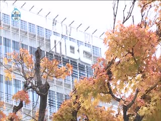 Phim Tôi Sống Một Mình Tập 270