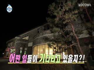 Phim Tôi Sống Một Mình Tập 325