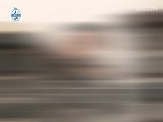 Phim Tôi Sống Một Mình Tập 313