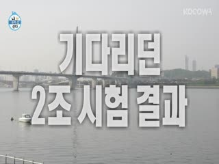 Phim Tôi Sống Một Mình Tập 493