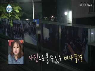 Phim Tôi Sống Một Mình Tập 305