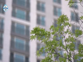 Phim Tôi Sống Một Mình Tập 396